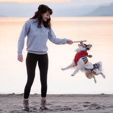 Load image into Gallery viewer, Favorite Things Crew Neck (Unisex)