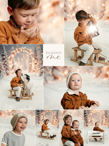 Christmas Mini - Backdrop One
