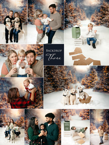 Christmas Mini - Backdrop Three