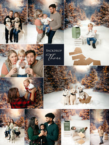 Christmas Mini - Backdrop Three