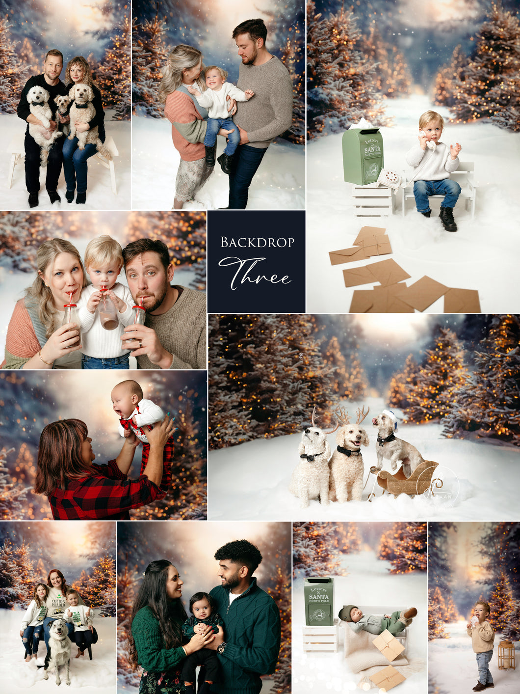 Christmas Mini - Backdrop Three