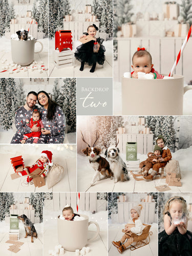 Christmas Mini - Backdrop Two