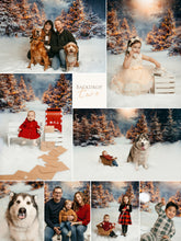 Load image into Gallery viewer, Christmas Mini - Backdrop Two (Retainer Only)