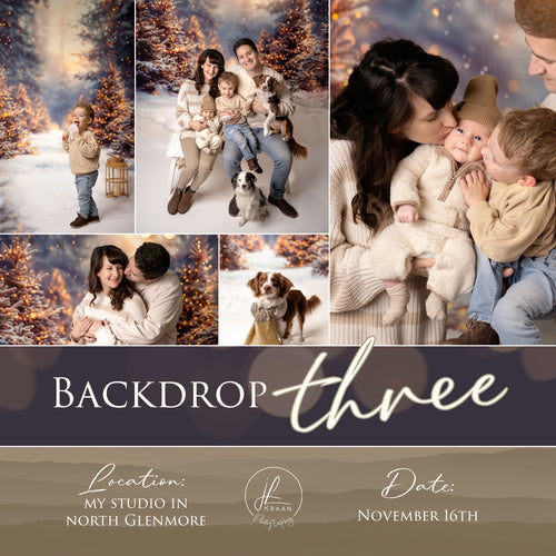 Christmas Mini - Backdrop Three (SOLD OUT)