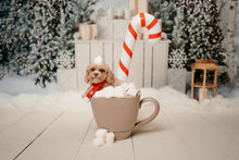 Load image into Gallery viewer, Christmas Mini - Backdrop Two (SOLD OUT)