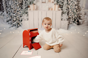 Christmas Mini - Backdrop Two (SOLD OUT)