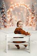 Load image into Gallery viewer, Christmas Mini - Backdrop One