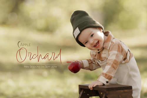Apple Orchard Fall Minis