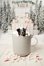 Load image into Gallery viewer, Christmas Mini - Backdrop Two