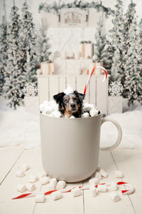 Christmas Mini - Backdrop Two