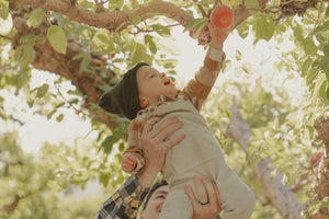 Apple Orchard Fall Minis