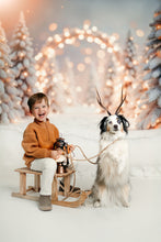 Load image into Gallery viewer, Christmas Mini - Backdrop One