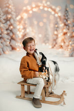 Load image into Gallery viewer, Christmas Mini - Backdrop One
