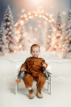 Load image into Gallery viewer, Christmas Mini - Backdrop One