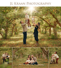 Load image into Gallery viewer, Apple Orchard Fall Minis