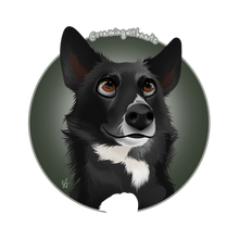 Load image into Gallery viewer, Custom Cartoon Pet Portrait Designs