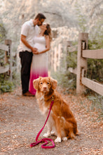 Load image into Gallery viewer, 1 Hour Lifestyle Photography Session (Maternity, Family, Engagement, Furry Friends)