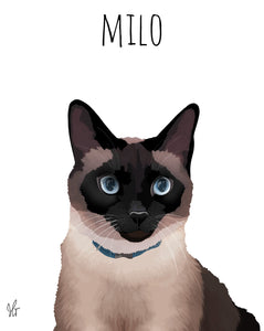 Modern Pet Poster Portrait Design (Single Subject)