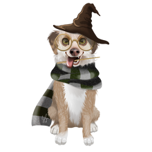 Load image into Gallery viewer, Full Body Digital Cartoon Design (Limited Edition Hogwarts Style)